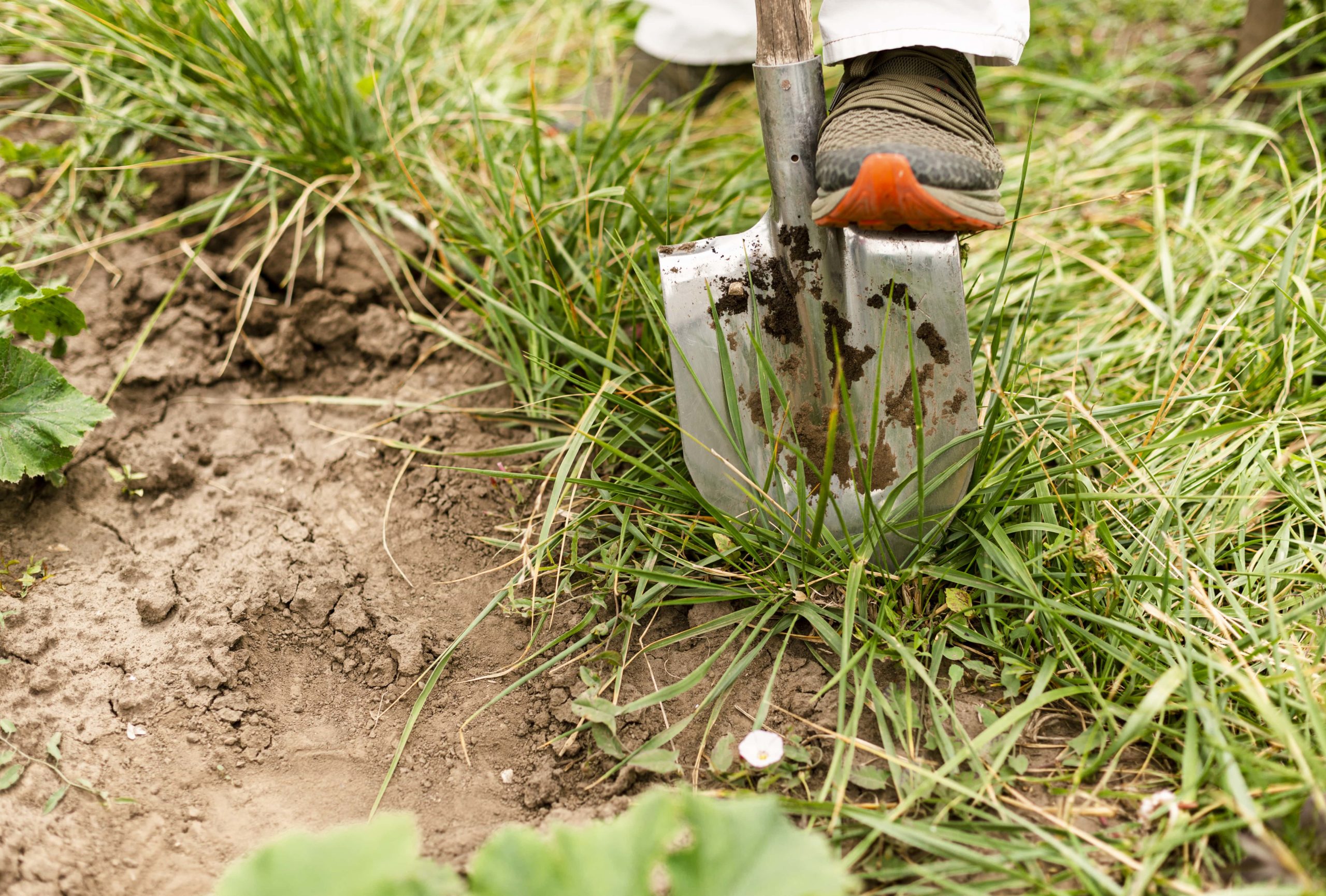 close-up-person-digging-garden-min (1)